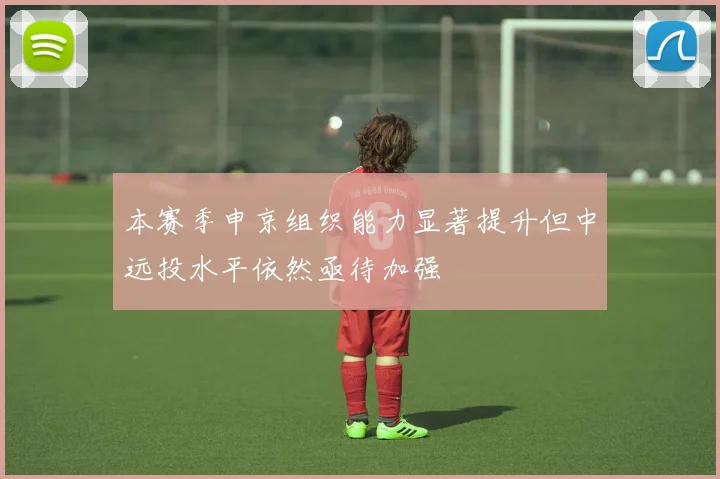 本赛季申京组织能力显著提升但中远投水平依然亟待加强